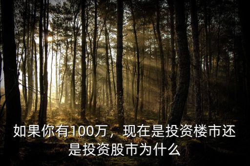 如果你有100萬(wàn)，現(xiàn)在是投資樓市還是投資股市為什么