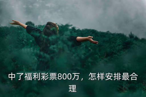 中了福利彩票800萬，怎樣安排最合理