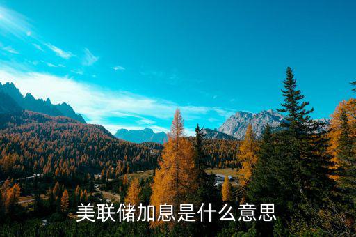 美聯(lián)儲(chǔ)加息加的是什么,美聯(lián)儲(chǔ)加息有什么影響