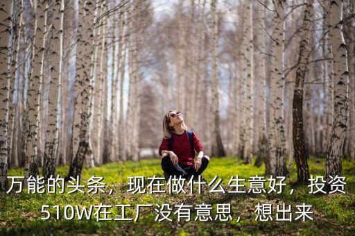 萬(wàn)能的頭條，現(xiàn)在做什么生意好，投資510W在工廠沒(méi)有意思，想出來(lái)