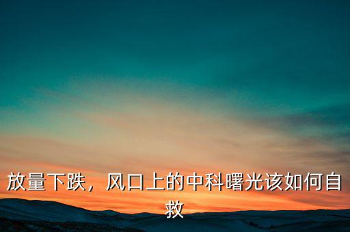 中科曙光怎么,中科曙光服務器業(yè)務怎么樣