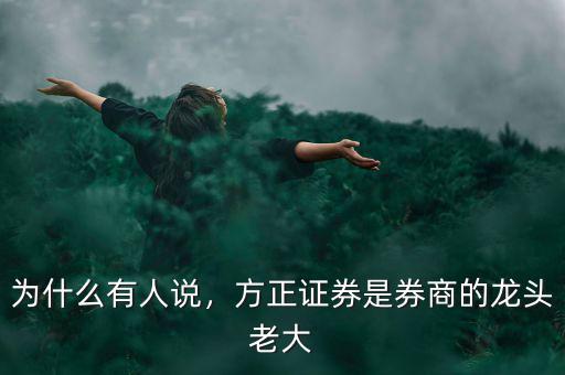 方正證券為什么不分紅,方正證券是券商的龍頭老大