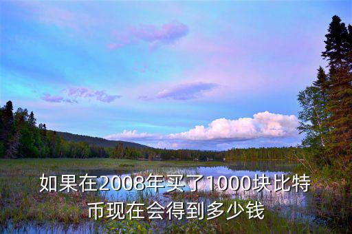 如果在2008年買(mǎi)了1000塊比特幣現(xiàn)在會(huì)得到多少錢(qián)