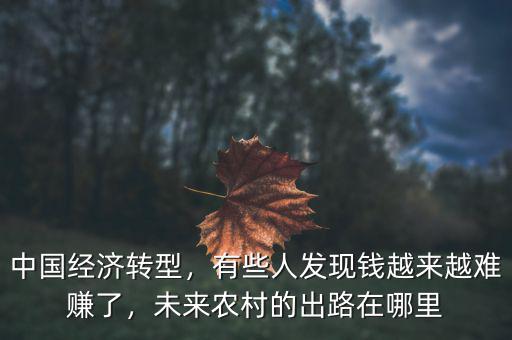 中國經(jīng)濟轉(zhuǎn)型，有些人發(fā)現(xiàn)錢越來越難賺了，未來農(nóng)村的出路在哪里