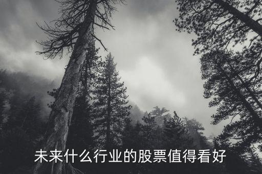 未來什么行業(yè)的股票值得看好