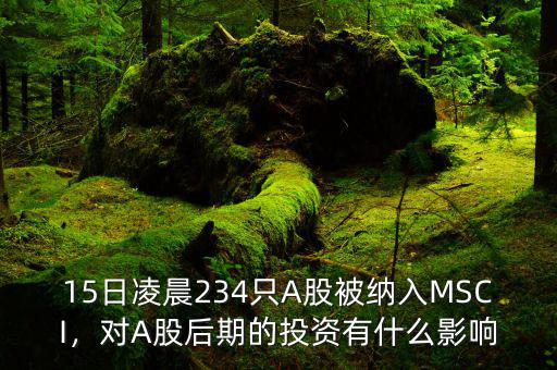 15日凌晨234只A股被納入MSCI，對A股后期的投資有什么影響