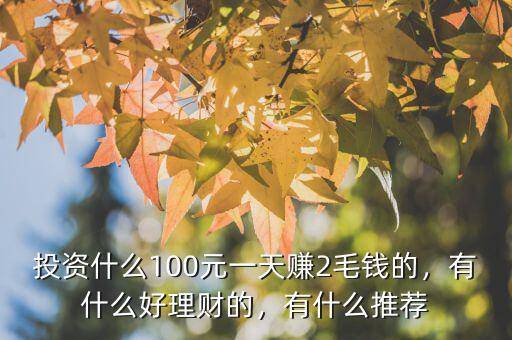 投資什么100元一天賺2毛錢的，有什么好理財?shù)?，有什么推薦