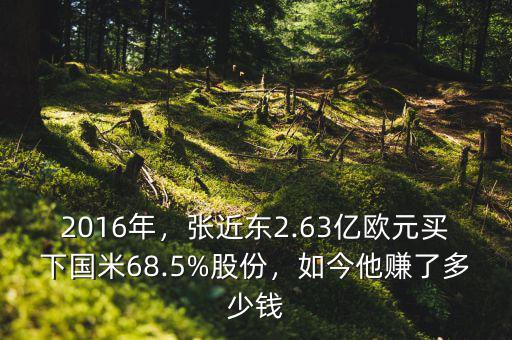 2016年，張近東2.63億歐元買下國米68.5%股份，如今他賺了多少錢