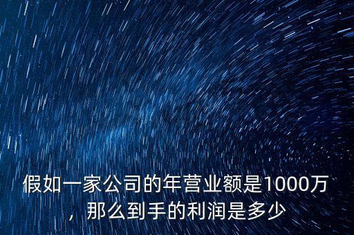 年收入1000萬的公司市值大概多少,年利潤100萬公司估值多少