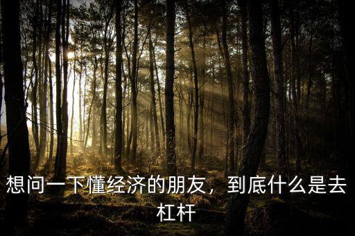 想問一下懂經(jīng)濟的朋友，到底什么是去杠桿