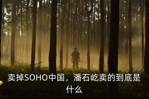 賣掉SOHO中國，潘石屹賣的到底是什么