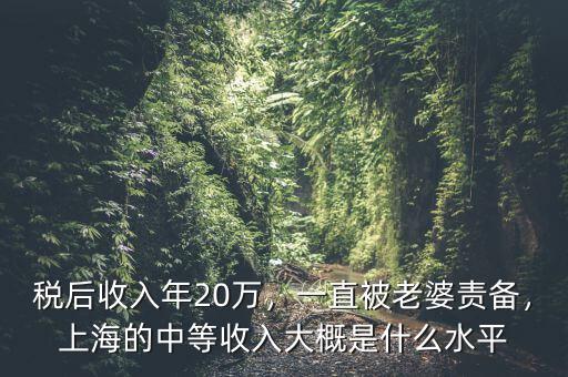 稅后收入年20萬，一直被老婆責備，上海的中等收入大概是什么水平