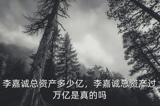 李嘉誠總資產(chǎn)多少億，李嘉誠總資產(chǎn)過萬億是真的嗎