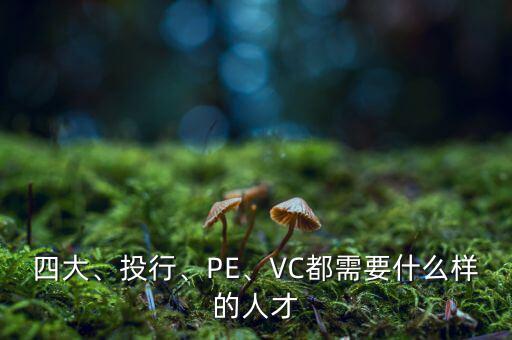 四大、投行、PE、VC都需要什么樣的人才