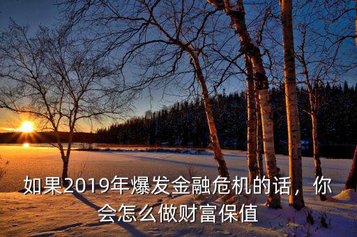 如果2019年爆發(fā)金融危機(jī)的話，你會怎么做財(cái)富保值