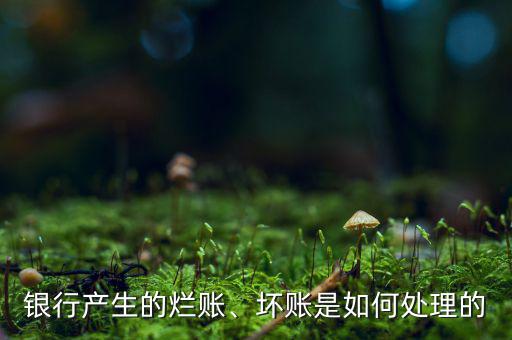 銀行產(chǎn)生的爛賬、壞賬是如何處理的