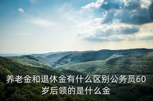 養(yǎng)老金和退休金有什么區(qū)別公務(wù)員60歲后領(lǐng)的是什么金