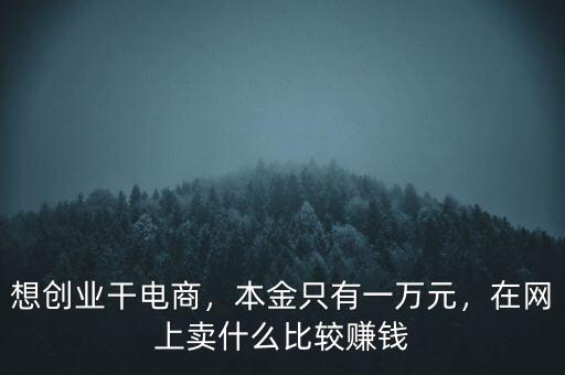 想創(chuàng)業(yè)干電商，本金只有一萬元，在網(wǎng)上賣什么比較賺錢