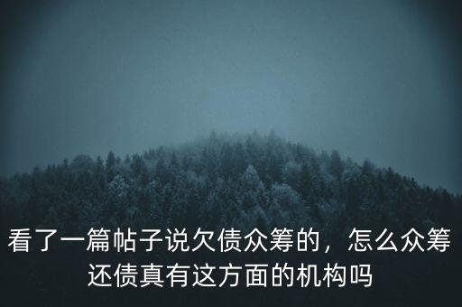 看了一篇帖子說欠債眾籌的，怎么眾籌還債真有這方面的機構(gòu)嗎