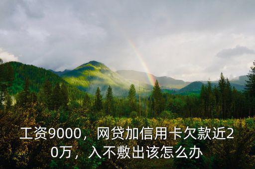 工資9000，網(wǎng)貸加信用卡欠款近20萬(wàn)，入不敷出該怎么辦