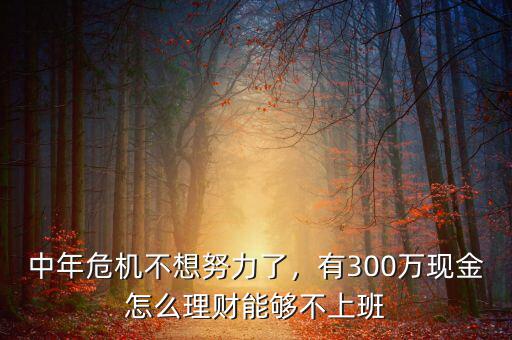 中年危機不想努力了，有300萬現(xiàn)金怎么理財能夠不上班