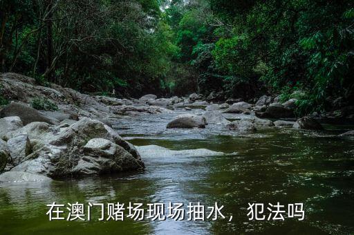 在澳門賭場現(xiàn)場抽水，犯法嗎