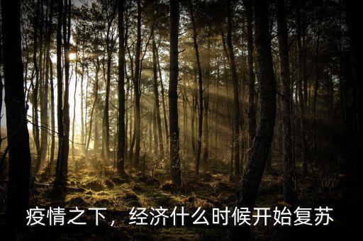 今年經(jīng)濟什么時候,經(jīng)濟什么時候開始復蘇