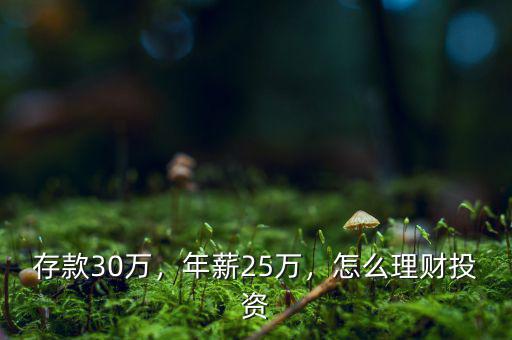 存款30萬(wàn)，年薪25萬(wàn)，怎么理財(cái)投資