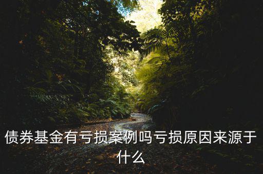 債券基金有虧損案例嗎虧損原因來(lái)源于什么