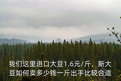 我們這里進(jìn)口大豆1.6元/斤，新大豆如何賣多少錢一斤出手比較合適