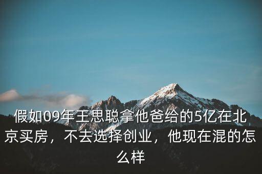 假如09年王思聰拿他爸給的5億在北京買房，不去選擇創(chuàng)業(yè)，他現(xiàn)在混的怎么樣