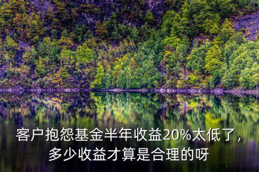 客戶抱怨基金半年收益20%太低了，多少收益才算是合理的呀