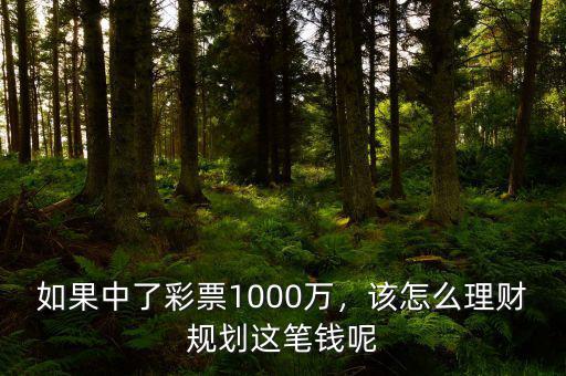 1000萬怎么理財(cái),1000萬不買房怎么理財(cái)