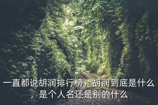 一直都說胡潤排行榜，胡潤到底是什么，是個(gè)人名還是別的什么