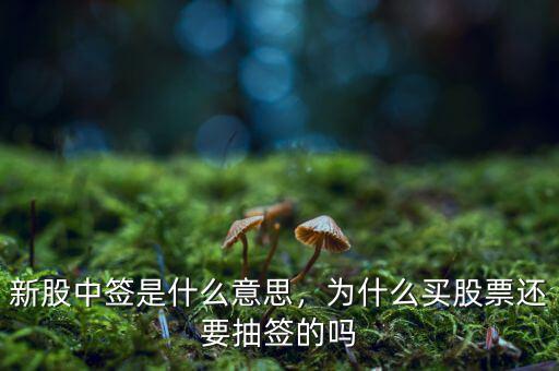 新股中簽是什么意思，為什么買(mǎi)股票還要抽簽的嗎