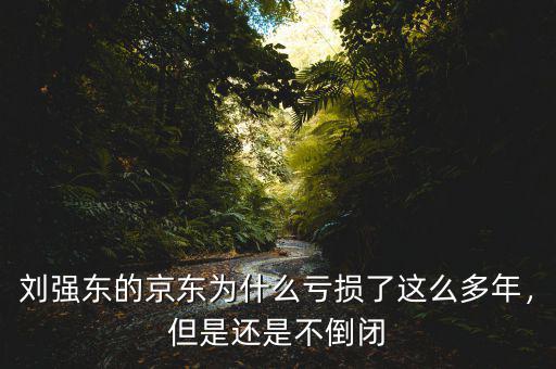 劉強(qiáng)東的京東為什么虧損了這么多年，但是還是不倒閉