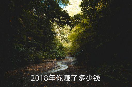 2018年你賺了多少錢