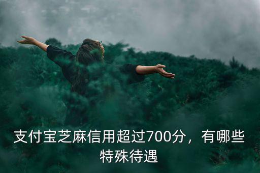 支付寶芝麻信用超過(guò)700分，有哪些特殊待遇