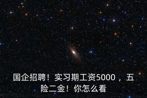 國企招聘！實習期工資5000 ，五險二金！你怎么看