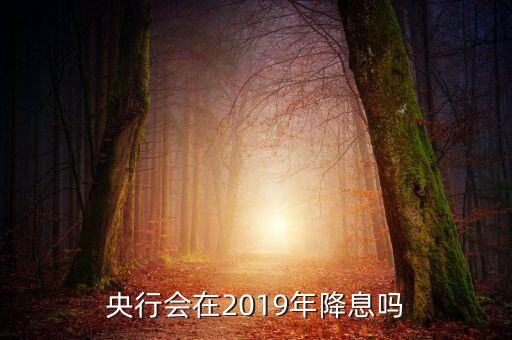 央行會(huì)在2019年降息嗎