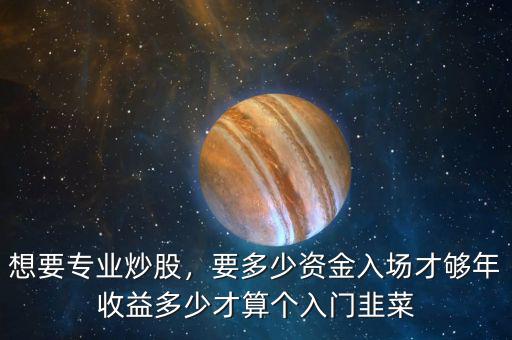 想要專業(yè)炒股，要多少資金入場才夠年收益多少才算個入門韭菜