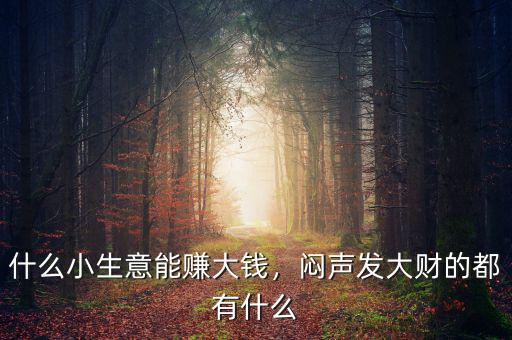 什么小生意能賺大錢，悶聲發(fā)大財?shù)亩加惺裁? class=