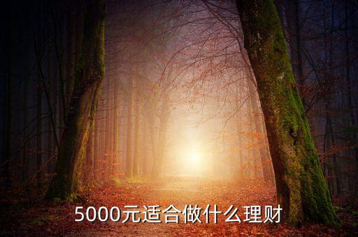 我有5000元怎么買理財,你會怎么理財