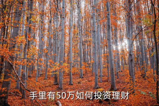 50萬怎么辦理財金,手里有50萬如何投資理財