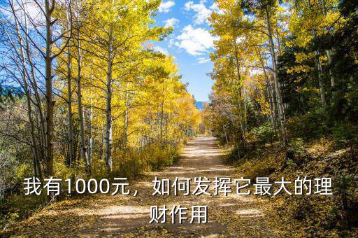 我有1000元，如何發(fā)揮它最大的理財(cái)作用