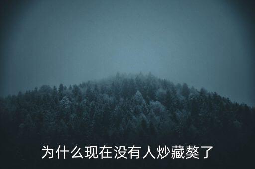 藏獒為什么沒人要了,藏獒的價(jià)格低了