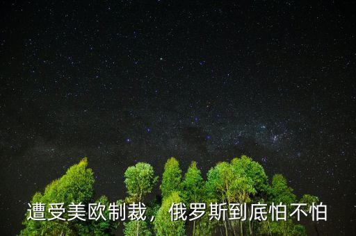 俄羅斯怎么遭受制裁,遭受美歐制裁