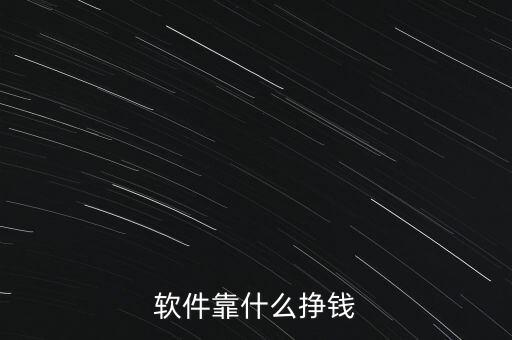 軟件靠什么掙錢