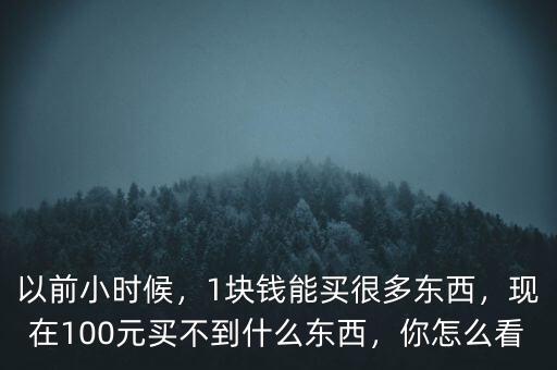 以前小時候，1塊錢能買很多東西，現(xiàn)在100元買不到什么東西，你怎么看