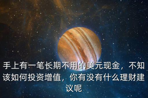 手上有一筆長期不用的美元現(xiàn)金，不知該如何投資增值，你有沒有什么理財建議呢